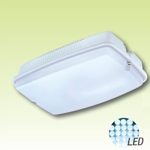 Потолочные и настенные светильники LED высокой мощности Серия 3611/… LED